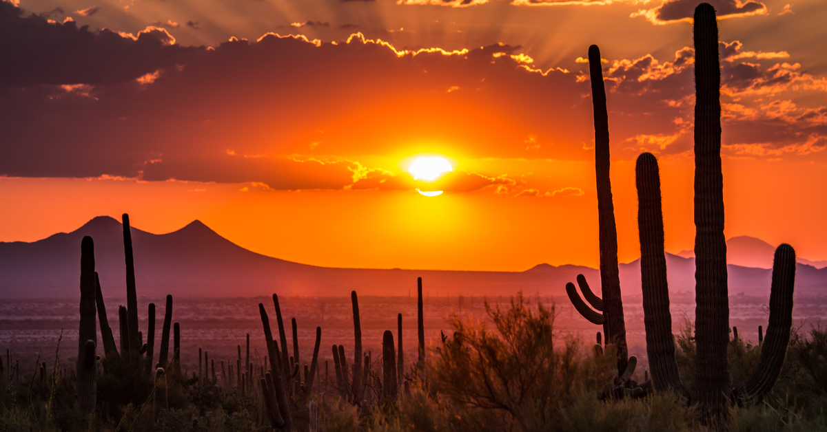 az sunset with cactus